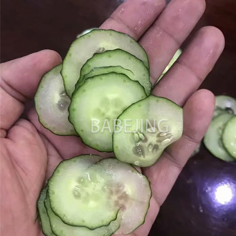 Electric Mini Scallion Chopper - đánh giá và giá Kitchen Appliances Electric