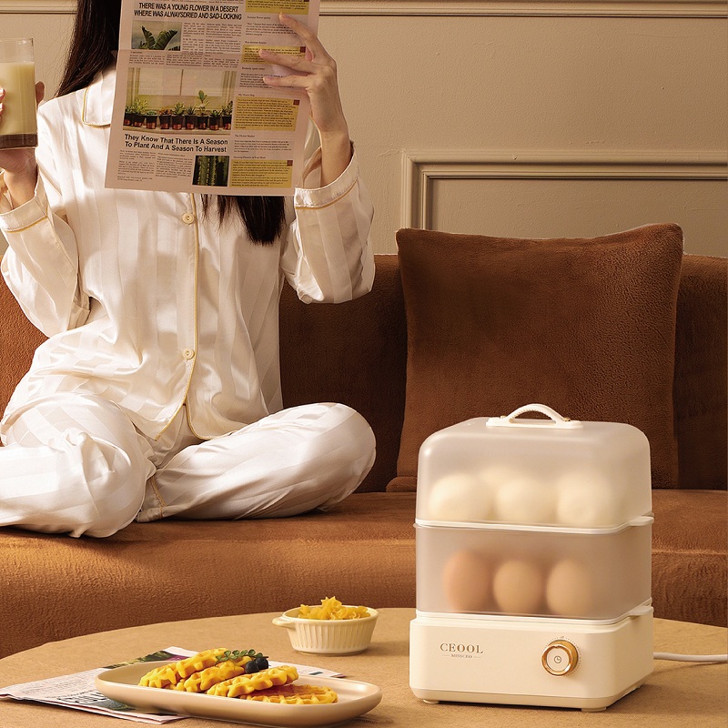 200W Egg Boiler Double Layers  - đánh giá và giá Egg Cooker Rapid